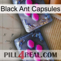 Black Ant Capsules 01